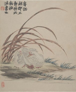 清 金农 墨戏图册(6) 27x32[花鸟] 