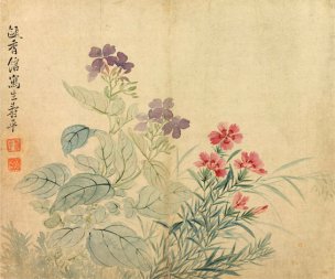 清 恽寿平 花卉图冊之四·豆花石竹 34x28.5[花鸟 