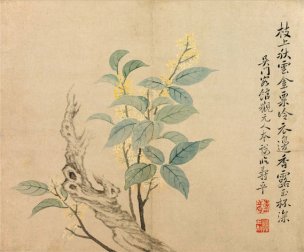 清 恽寿平 花卉图冊之五·桂花 34x28.5[花鸟] 