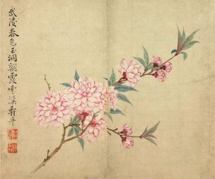 清 恽寿平 花卉图冊之一·桃花 34x28.5[花鸟] 