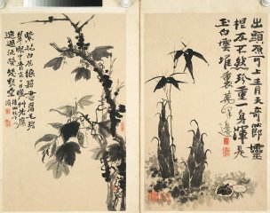 清 石涛 册页1-2[花鸟]