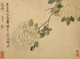 清 华嵒 华岩 花鸟草虫八开07 31x23[人物] 