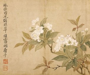 清 恽寿平 花卉图冊之三·梨花 34x28.5[花鸟] 