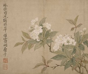 清 恽寿平 梨花图页（纳尔逊）拼38.3mb[花鸟] 