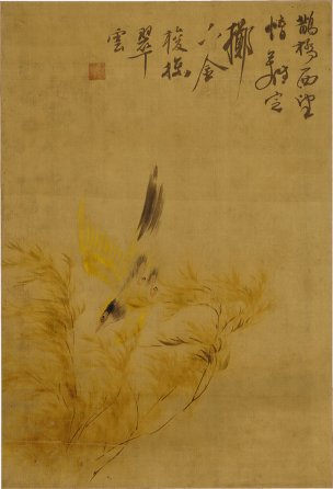 清 佚名 HY-杂画图-4-X 37x54[花鸟] 