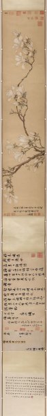 明 文征明 玉兰图卷 纵33.5x322[花鸟] 