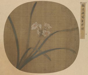 宋 赵子固 水仙图页[花鸟] 