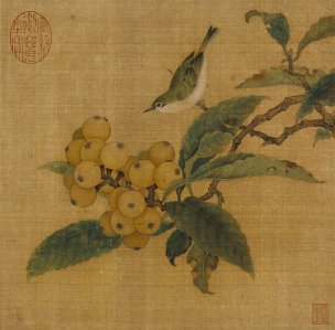 宋 林椿 枇杷山鸟图页[花鸟] 
