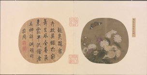 宋 朱绍宗 菊丛飞蝶图[花鸟] 