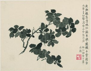 清 金农 杂画册页十二开-5 30x25[花鸟] 