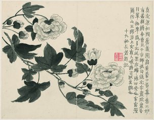清 金农 杂画册页十二开-9 30x25[花鸟] 