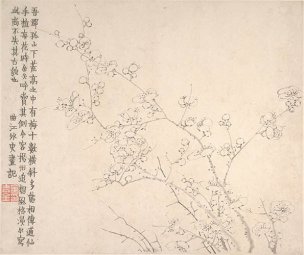 清 金农 梅花图册8 34x29[花鸟] 