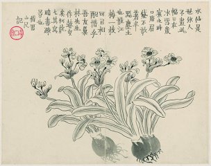 清 金农 杂画册页十二开-11 30x25[花鸟] 