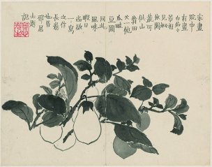 清 金农 杂画册页十二开-7 30x25[花鸟] 