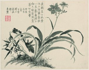 清 金农 杂画册页十二开-8 30x25[花鸟] 