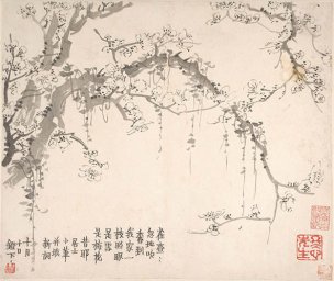 清 金农 梅花图册4 34x29[花鸟] 