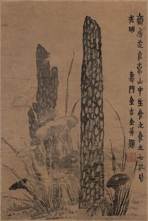 清 金农 书画图册-1 29.4x44[花鸟] 