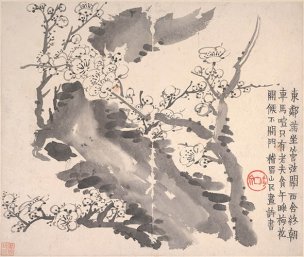 清 金农 梅花图册11 34x29[花鸟] 