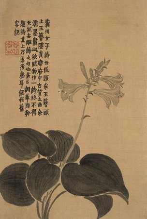 清 金农 杂画册页十二开-07 24x36[花鸟] 