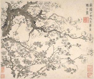 清 金农 梅花图册1 34x29[花鸟] 