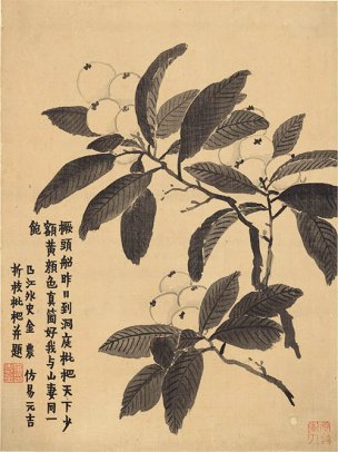 清 金农 册页八开-3 纸本 30.5x40.9[花鸟] 