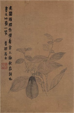 清 金农 书画图册-3 29.4x44[花鸟] 