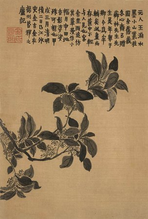 清 金农 杂画册页十二开-11 24x36[花鸟] 