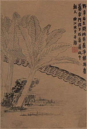 清 金农 书画图册-7 29.4x44[花鸟] 
