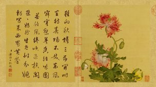 清 郎世宁 花鸟图册03 65x36.5[花鸟] 