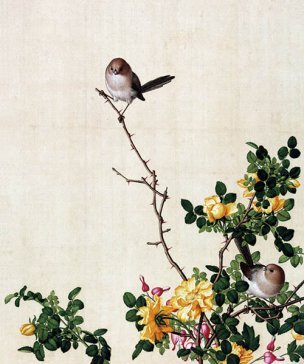清 郎世宁 花鸟图册 6黄刺么鱼儿牡丹图 47x39[花鸟 