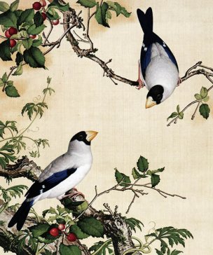 清 郎世宁 花鸟图册 8樱桃图 47x39[花鸟] 