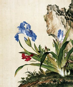 清 郎世宁 花鸟图册 5虞美人蝴蝶花图 47x39[花鸟 
