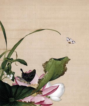 清 郎世宁 花鸟图册 13荷花慈姑花图 47x39[花鸟] 
