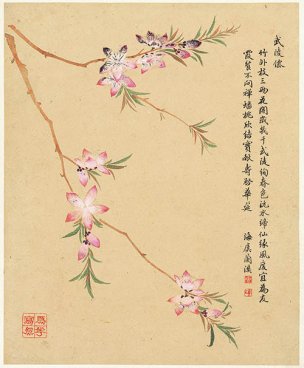 清 邹一桂 花卉八开-3 26x32[花鸟] 