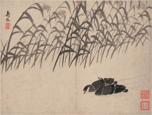 清 边寿民 芦雁图册页十开-2 41x31[花鸟] 