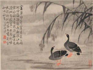 清 边寿民 芦雁图册页十开-5 41x31[花鸟] 