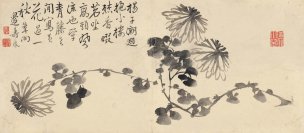 清 边寿民 杂画 菊55.77-24.5cm[花鸟] 