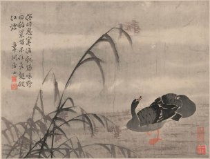 清 边寿民 芦雁图册页十开-4 41x31[花鸟] 