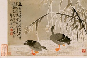 清 边寿民 册页杂画十开-04 36x24[花鸟] 
