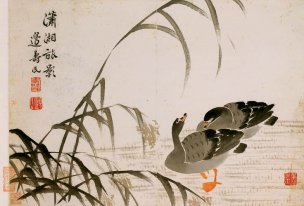 清 边寿民 册页杂画十开-06 36x24[花鸟] 
