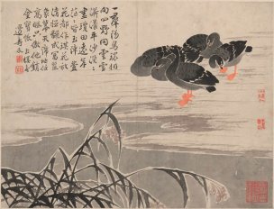 清 边寿民 芦雁图册页十开-10 41x31[花鸟] 