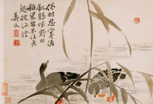 清 边寿民 册页杂画十开-09 36x24[花鸟] 