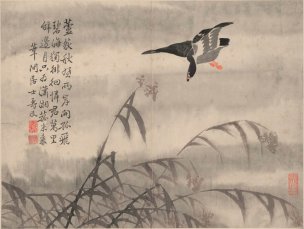 清 边寿民 芦雁图册页十开-3 41x31[花鸟] 