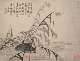 清 边寿民 芦雁图册页十开-7 41x31[花鸟] 