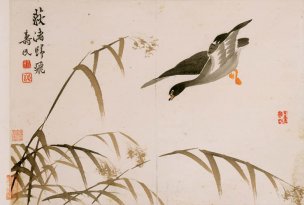 清 边寿民 册页杂画十开-07 36x24[花鸟] 