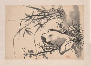 清 诸升 兰竹石图册页四开-2 31.5x21.8[花鸟] 