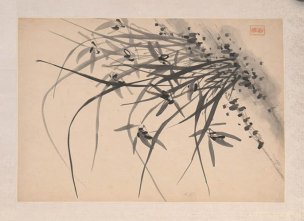 清 诸升 兰竹石图册页四开-1 31.5x21.8[花鸟] 