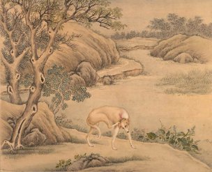 清 艾启蒙 十犬图册页03金翅猃[走兽] 
