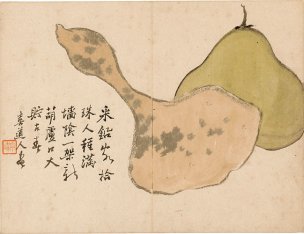 清 罗聘 花果图册-6-X 31.6x24.3[花鸟] 