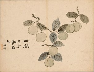 清 罗聘 花果图册-3-X 31.6x24.3[花鸟] 